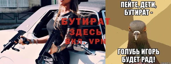 прущие грибы Алагир