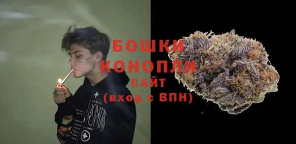 сатива Михайловск
