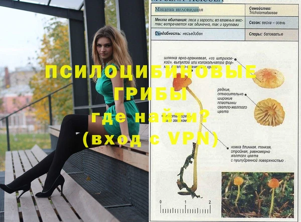 сатива Михайловск