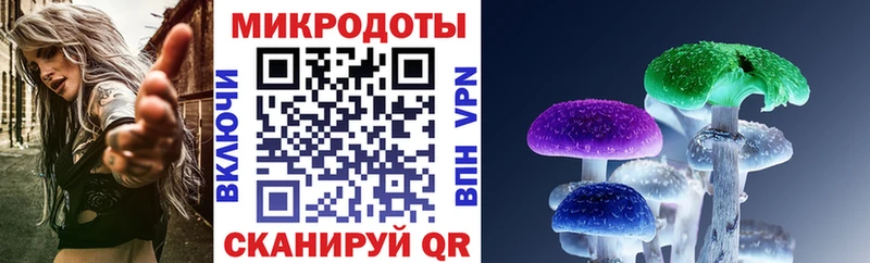 Псилоцибиновые грибы мицелий  Купить где  Карабулак 